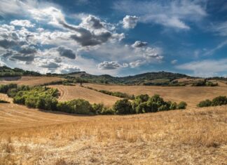 Tassi per mutui agricoli, a quanto ammontano? Info e spiegazioni