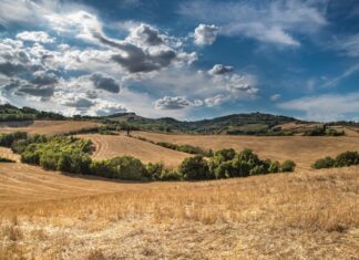 Tassi per mutui agricoli, a quanto ammontano? Info e spiegazioni